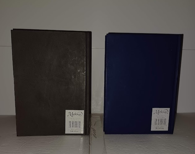 JOURNALS 2 Book Lot Set Markings Line Ruled Diary Pages Diaries Writing Thoughts