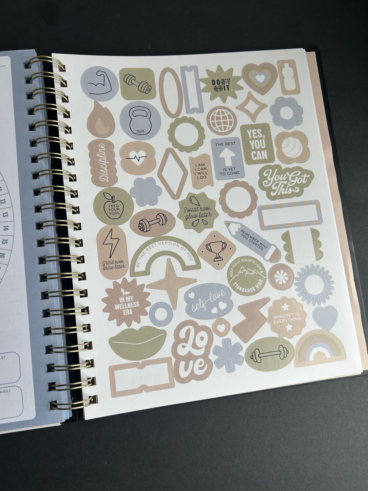 Undated Pembrook Wellness Planner Guided Fitness Workout Tracker Book Journal