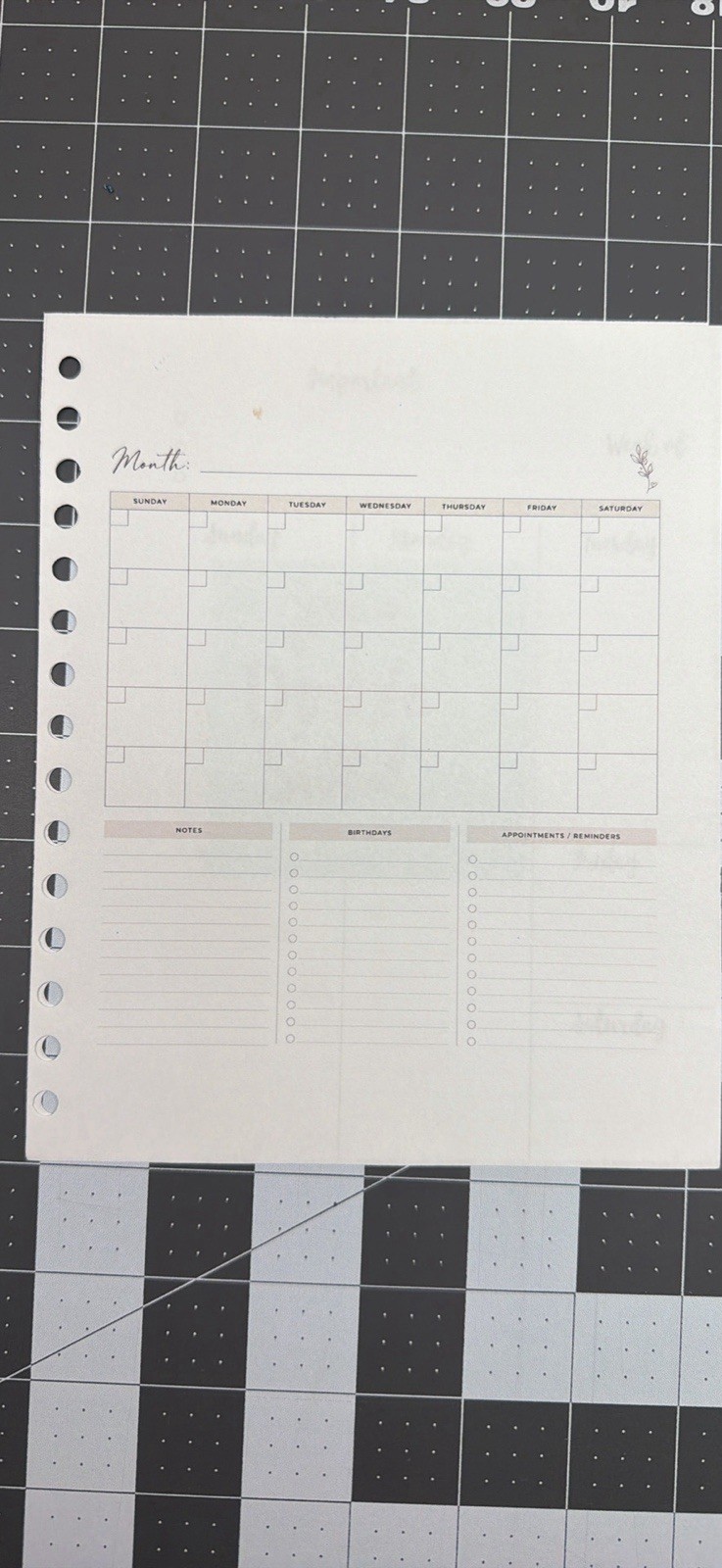 Little Golden Book Taylor Swift 12 month Planner and bookmark