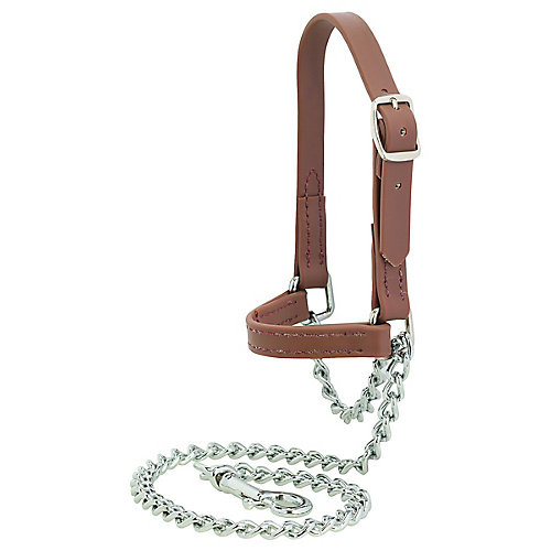 Weaver Sheep and Goat Brahma Webb Halter L Brown