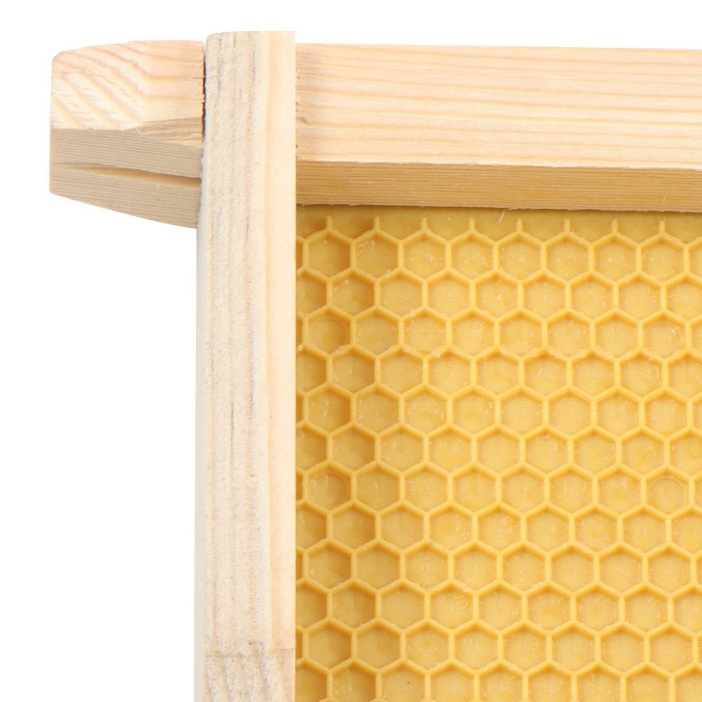 8 Frame Bee Hive Box Beeswax Coated With Frames and Waxed Foundations 4 Layer