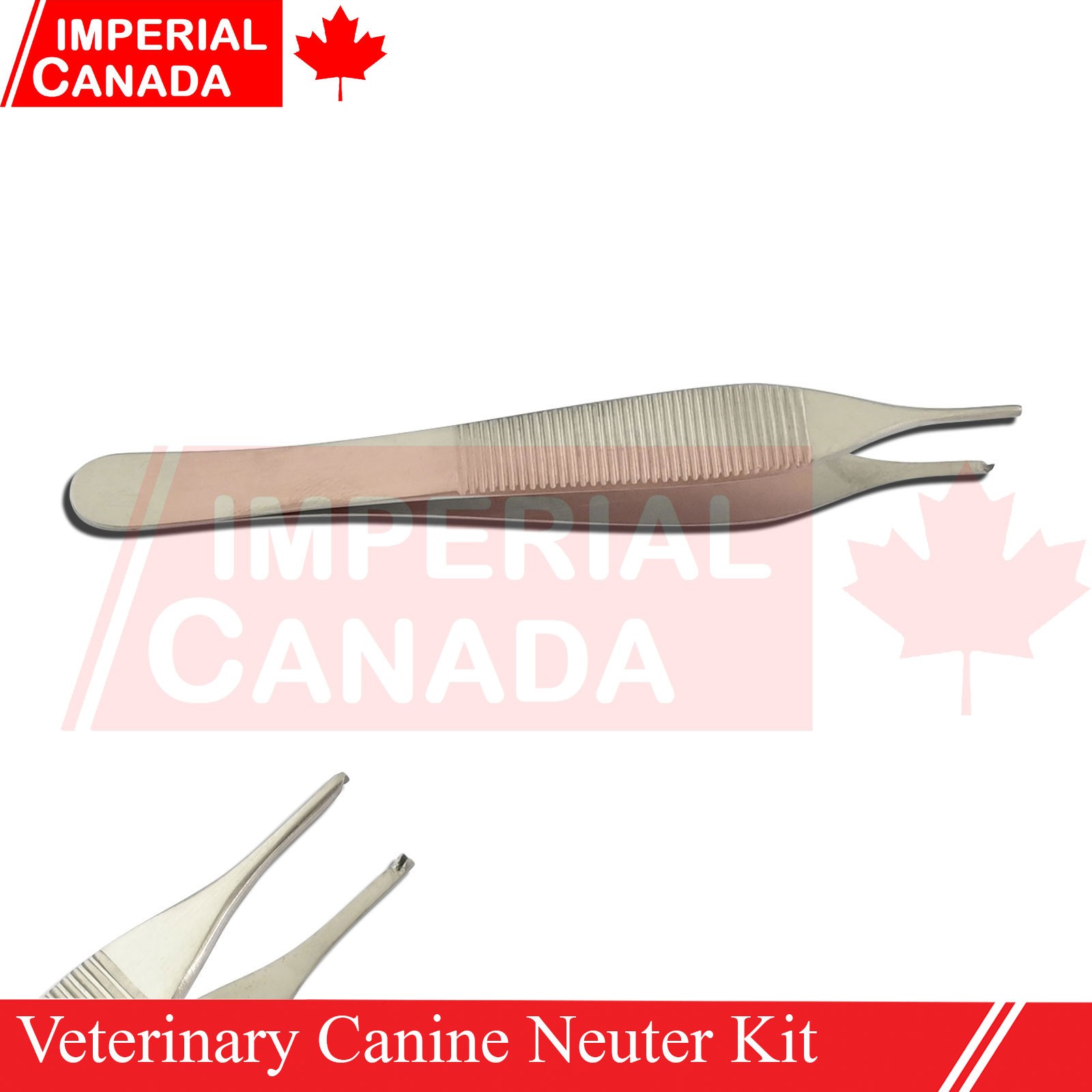 Feline Spay Pack Kit Contain Basic Surgery Instruments Set Surgical Econ DS-2240