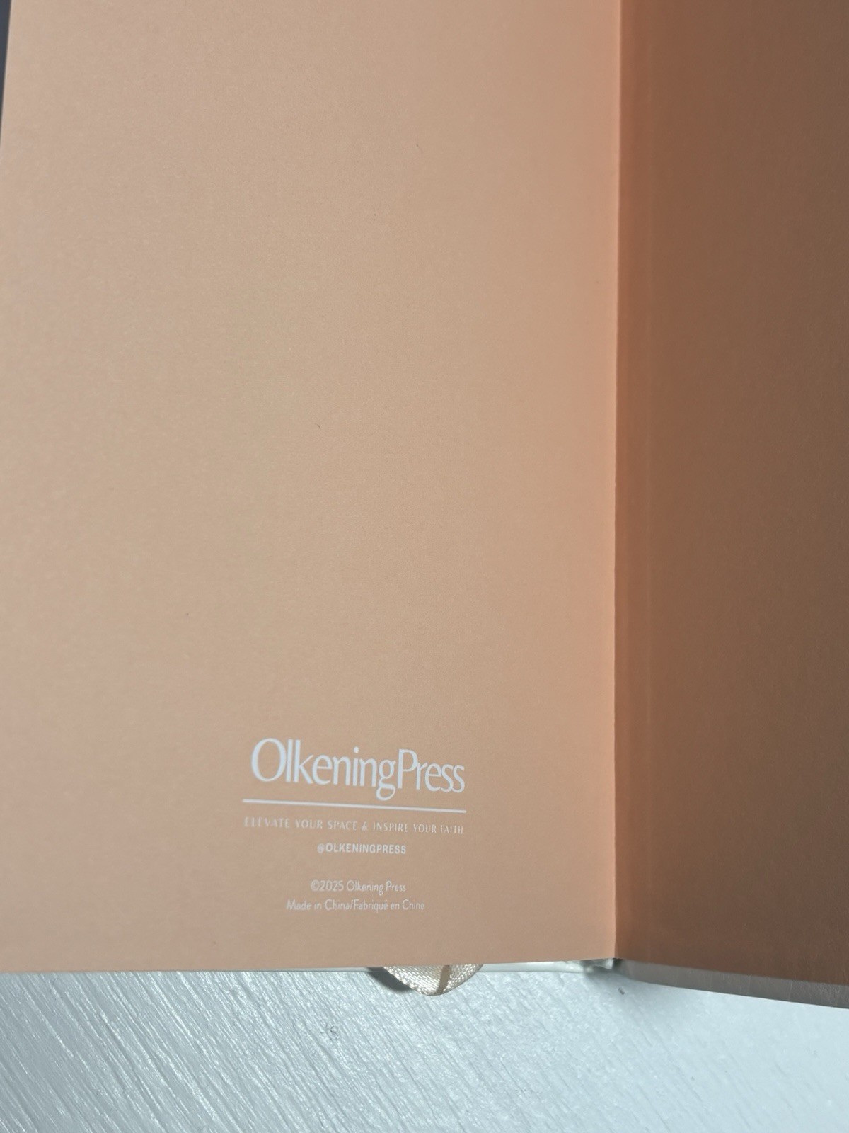 Olkening Press She Is more Precious Than Jewels Journal Notebook with Bookmark