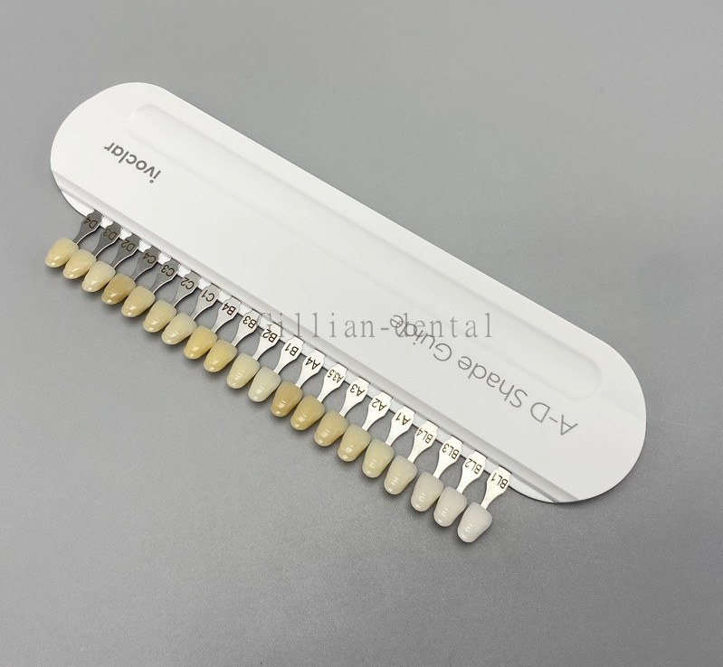 Dental IPS Natural Die Material Shade Guide Ivoclar Vivadent ND 1-9 Abutment