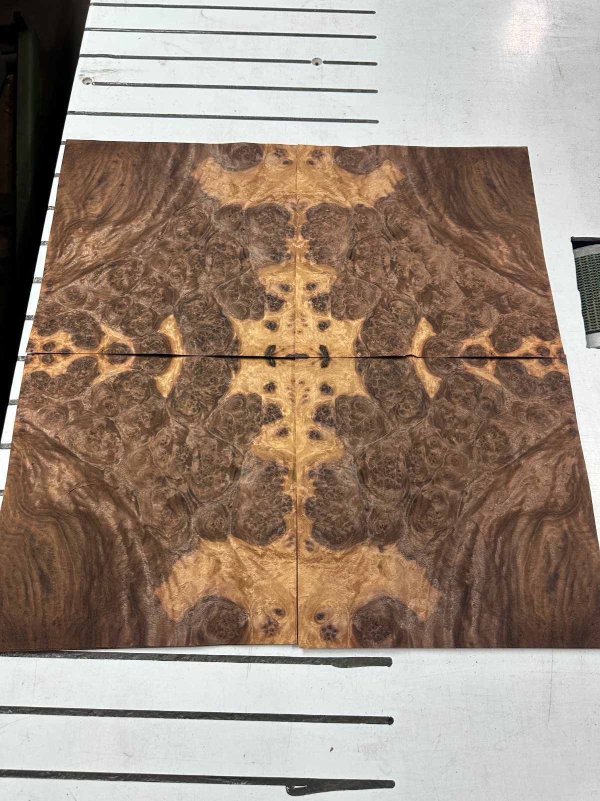 Walnut Burl Raw Wood Veneer 2 sheets 11″ x 11″ 522G