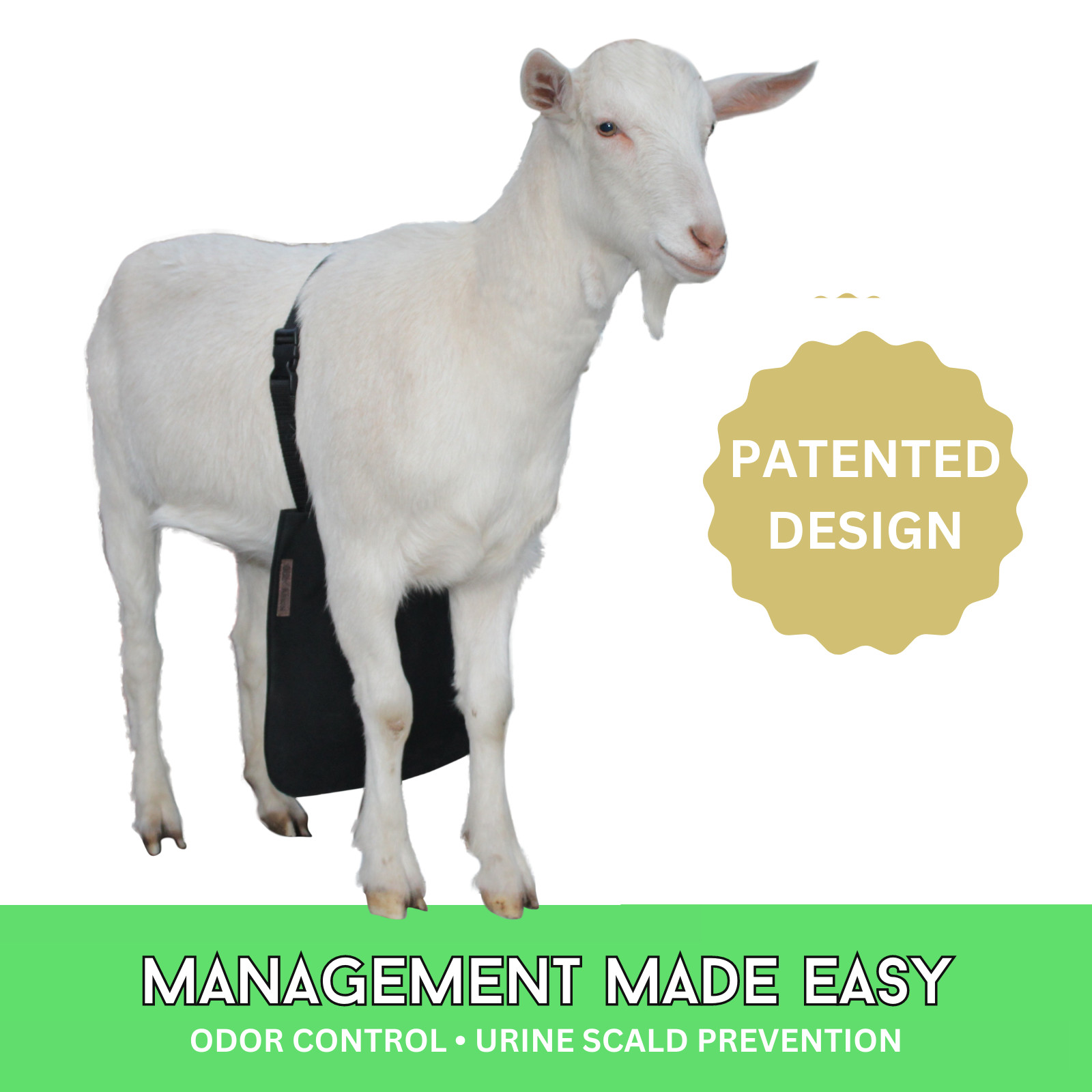 Urine Scald & Odor Control OLOR Buck Apron™ with Strap – Goats/Sheep X-SMALL