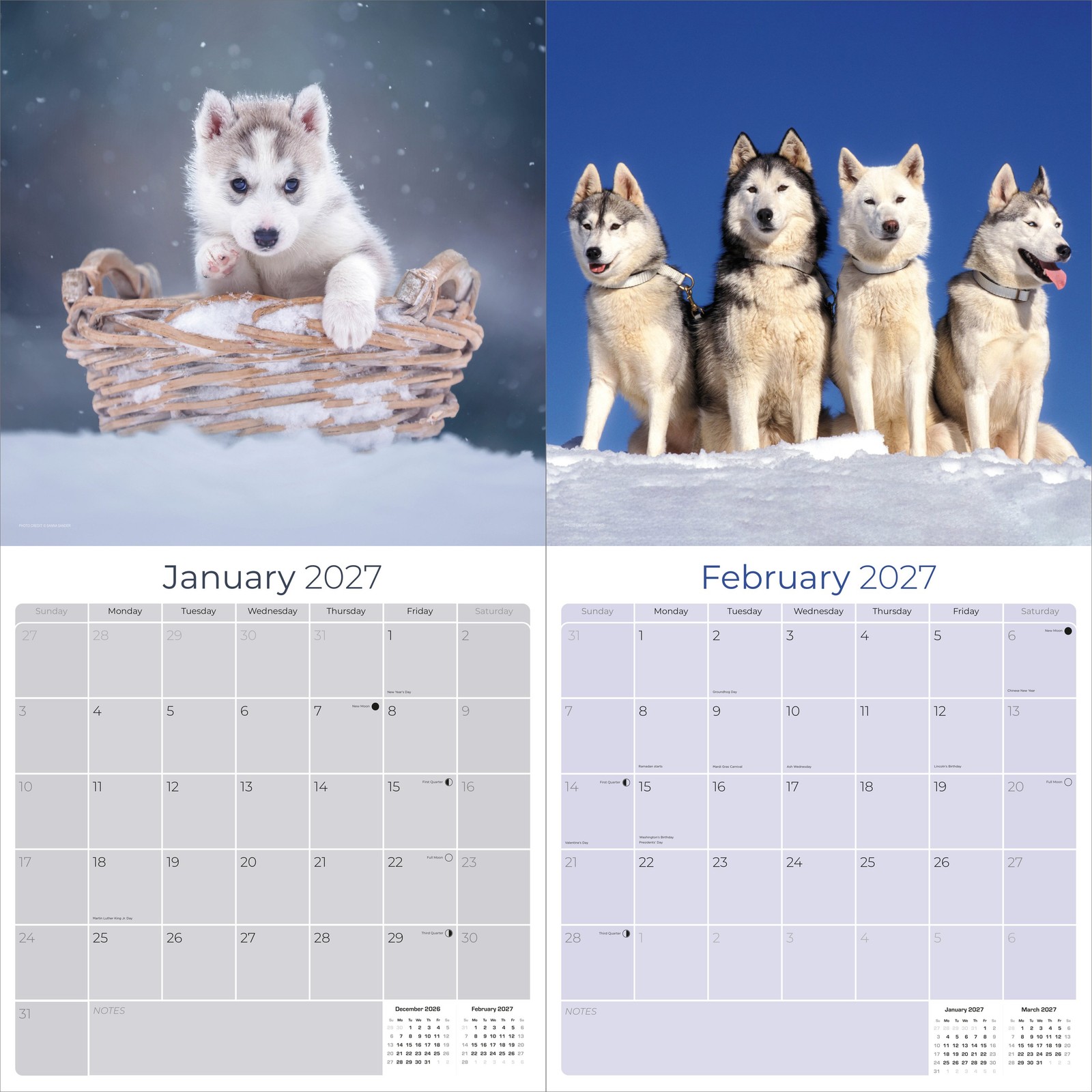 Siberian Husky Dog Breed Calendar 2024 FULL SIZE 12×24 Made in USA