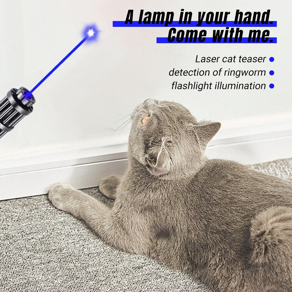 New 450nm Laser Pointer Pen Visible Beam Light Zoom Focus Lazer Blue US