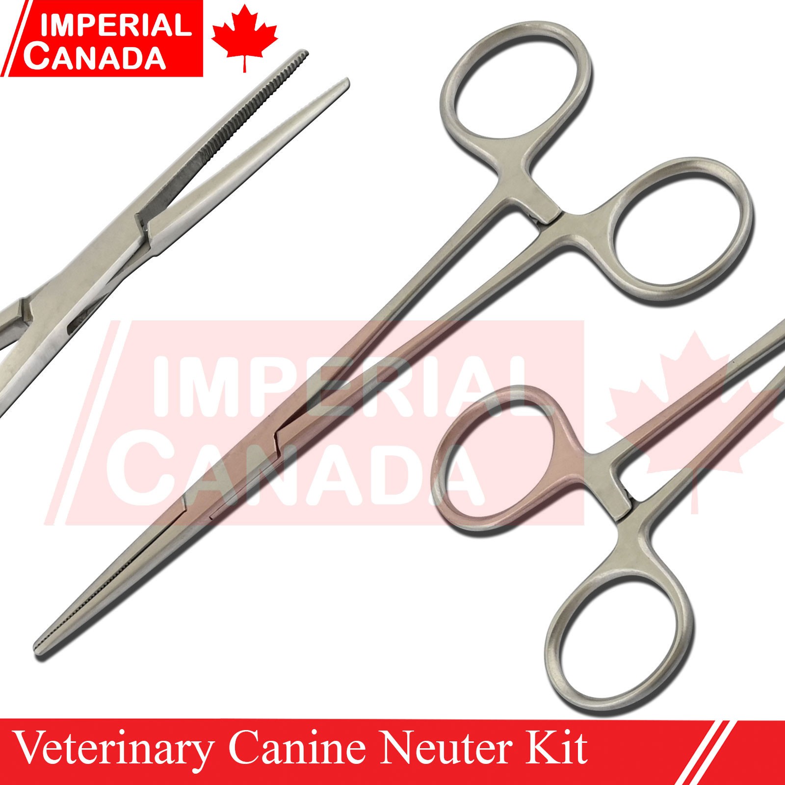 Feline Spay Pack Kit Contain Basic Surgery Instruments Set Surgical Econ DS-2240