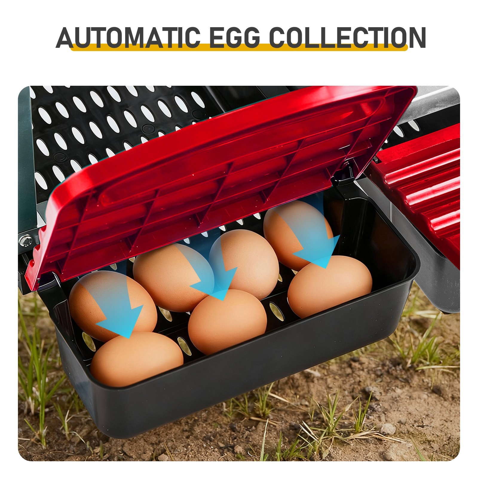 Wall Mount Chicken Nesting Box 6 Compartment Nesting Box Laying Eggs Brooder Box