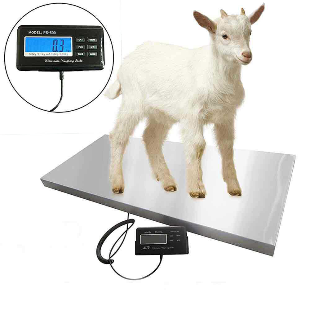 Heavy Duty Digital Livestock Scale Large Pet Dog Sheep Goat ScaleMultiuse1100lbs