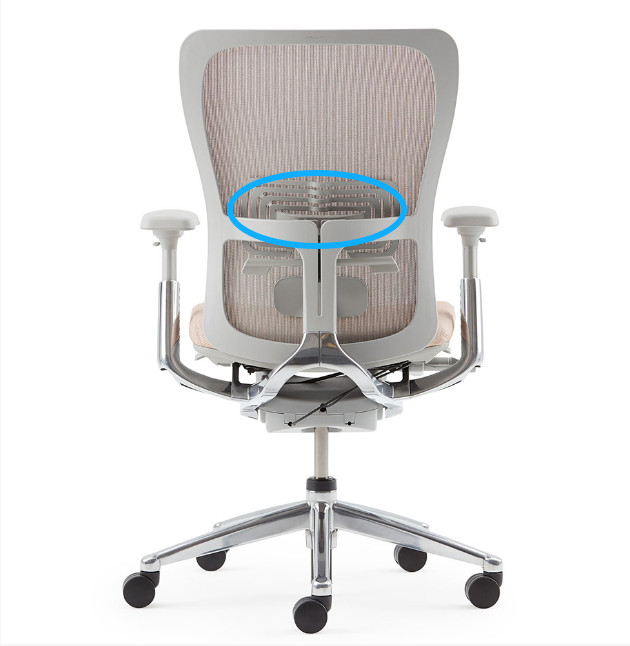 Lumbar Replacement for Haworth Zody/Very Chair in black color (1pcs Lumbar only)