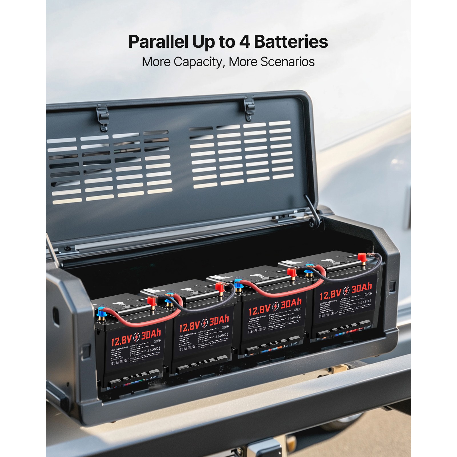 12V 30Ah Dual Function LiFePO4 Lithium Battery with 600 CCA for Starting Cycling