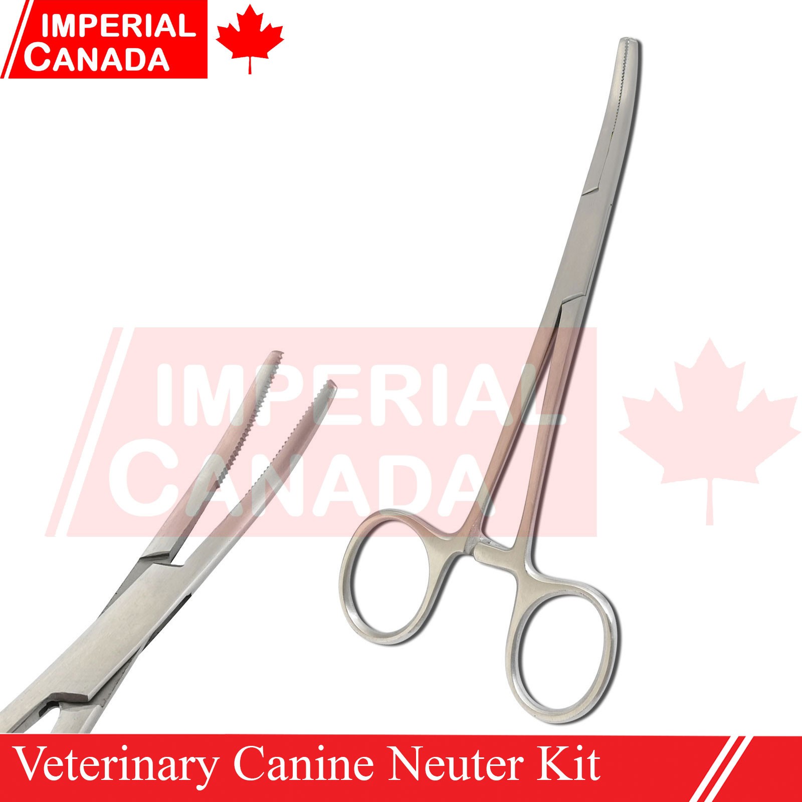Feline Spay Pack Kit Contain Basic Surgery Instruments Set Surgical Econ DS-2240