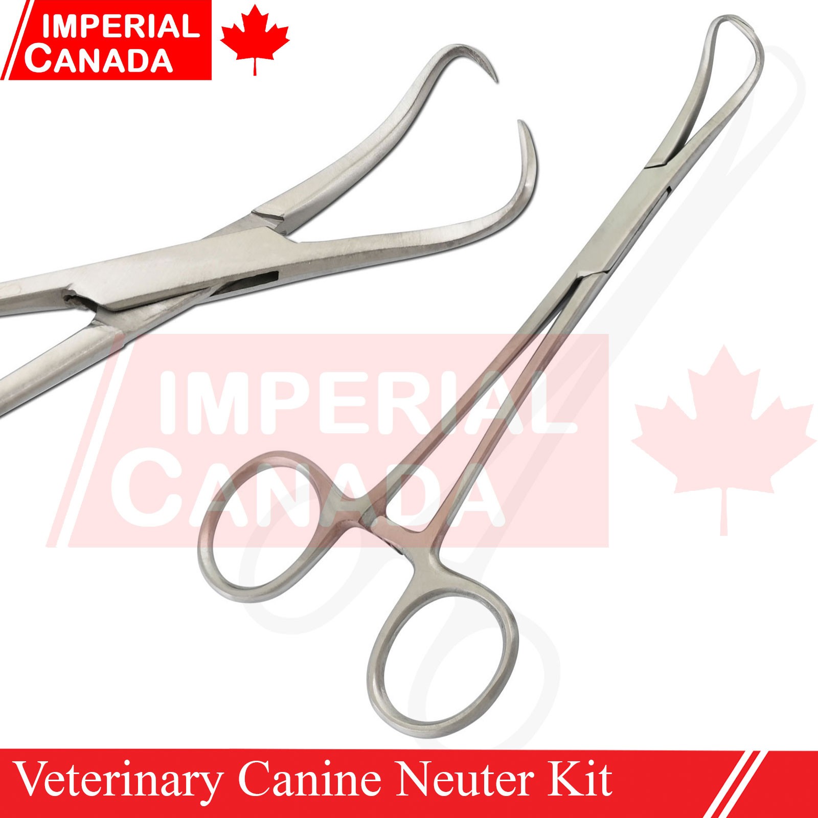 Feline Spay Pack Kit Contain Basic Surgery Instruments Set Surgical Econ DS-2240