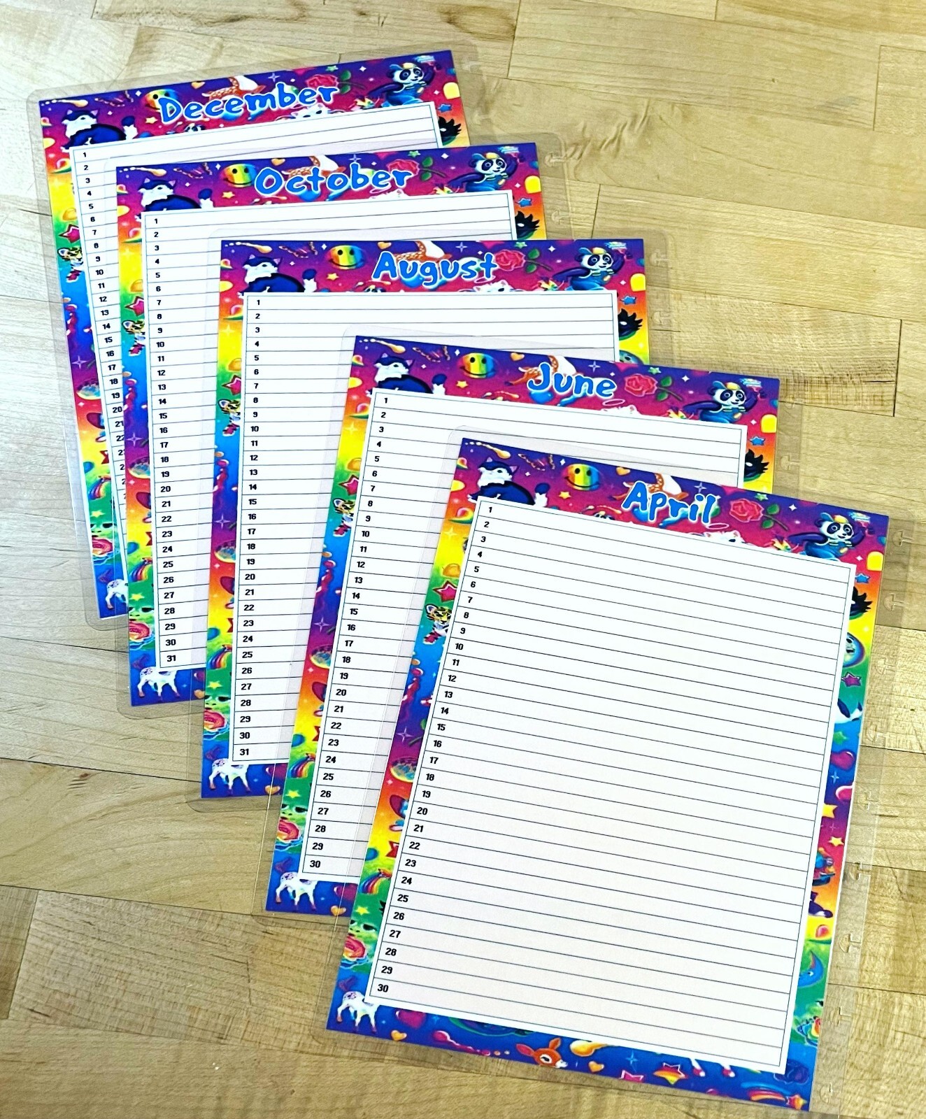 Set of 6 (Six) Month at a Glance Dashboard Inserts for use with Happy Planner-