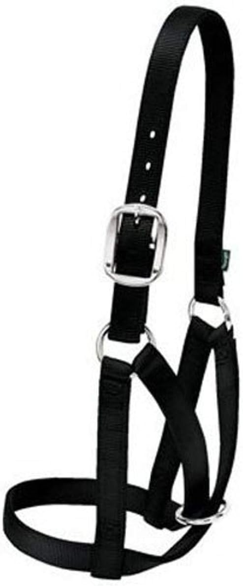 Weaver Livestock Barn Cow Buckle Cattle Halter, Adjustable, Modern Style Cow Cal