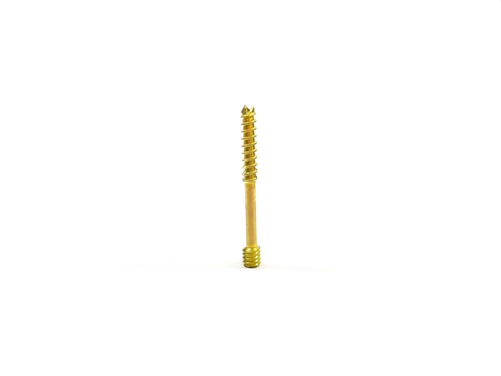Titanium Herbert Screw 4.0mm pack of 40 pcs surgical instrument