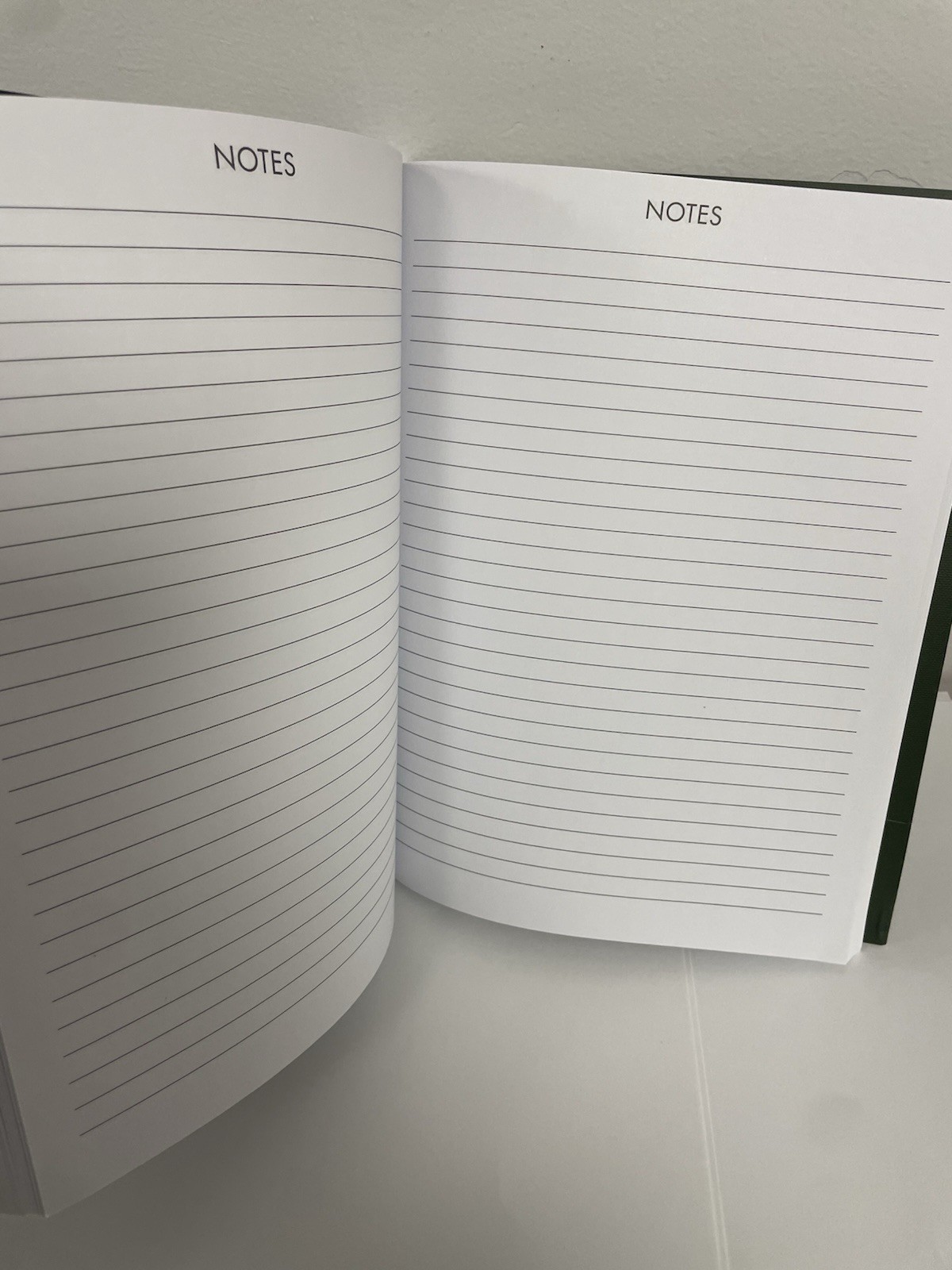 Punch Studio 12 Months Green Floral 2025 Planner Monthly & Weekly Planner