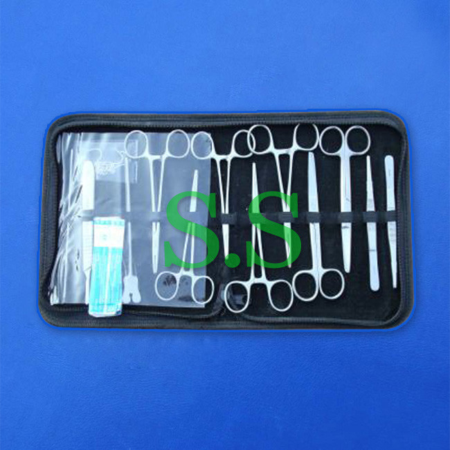 19 PCS MINOR SURGERY KIT SURGICAL INSTRUMENTS FORCEPS