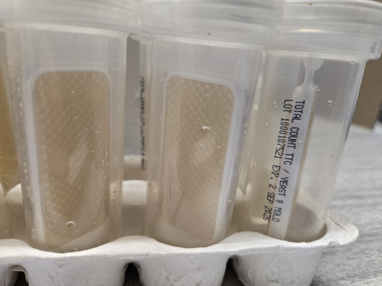 Dip Slide MC-600 To Test For Yeast & Mold- Pack Of 10- Exp 09/02/2026