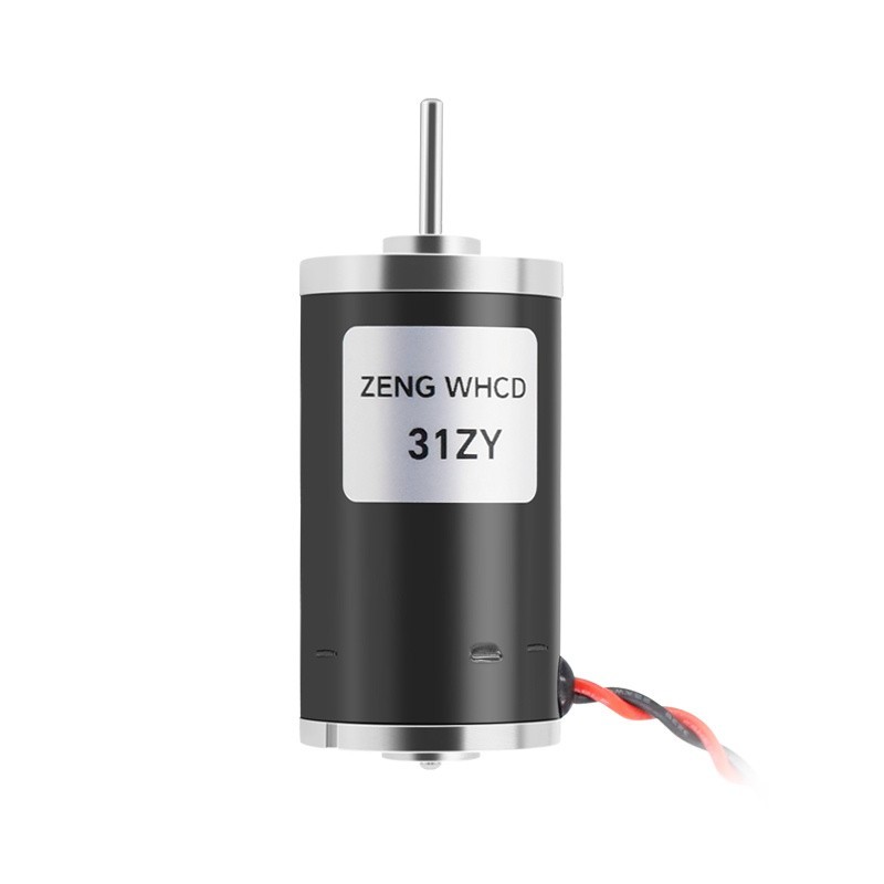 31ZY Permanent Magnet DC Carbon Brush Motor with High Speed ​​4000RPM~8000RPM