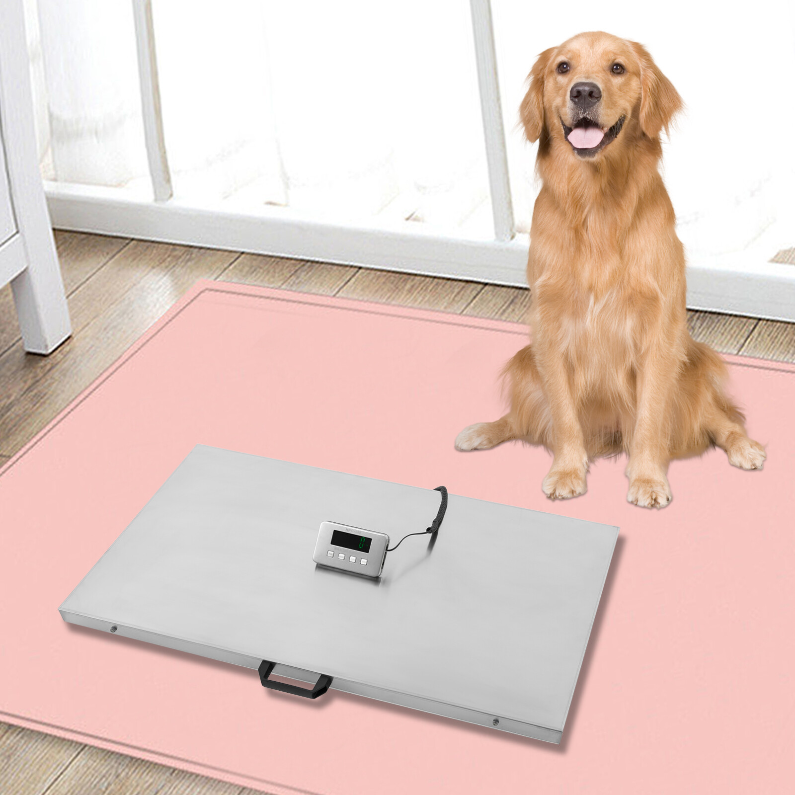 700×0.2lb LED Livestock Pet Scale w/ Stainless Steel Platform for Dog Cat Sheep