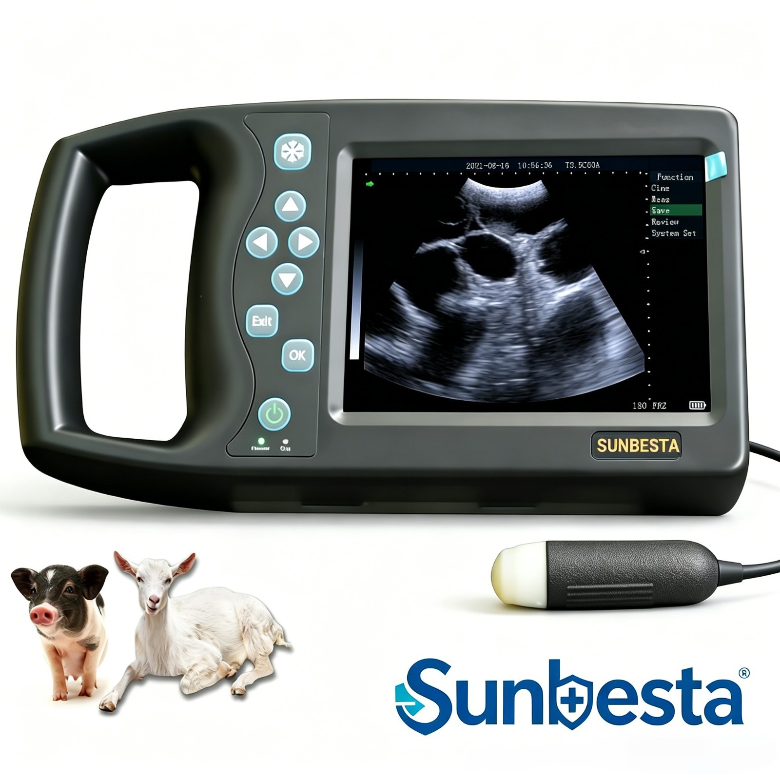Vet Ultrasound Machine for Pregnancy 3.5Mhz Convex Probe for Dog,Cat,Goat,Pig