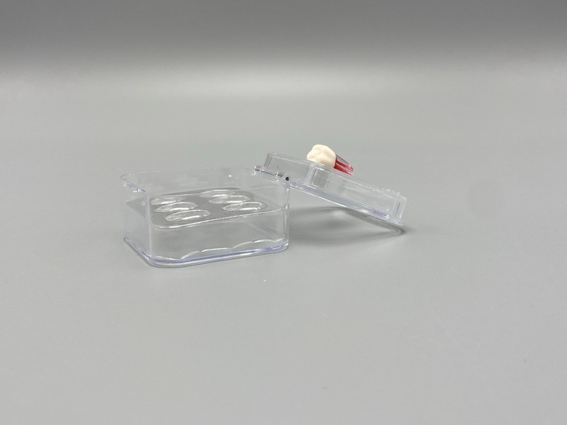 Dental Denture Hinged Display Box Film Membrane Storage Case False Teeth Case