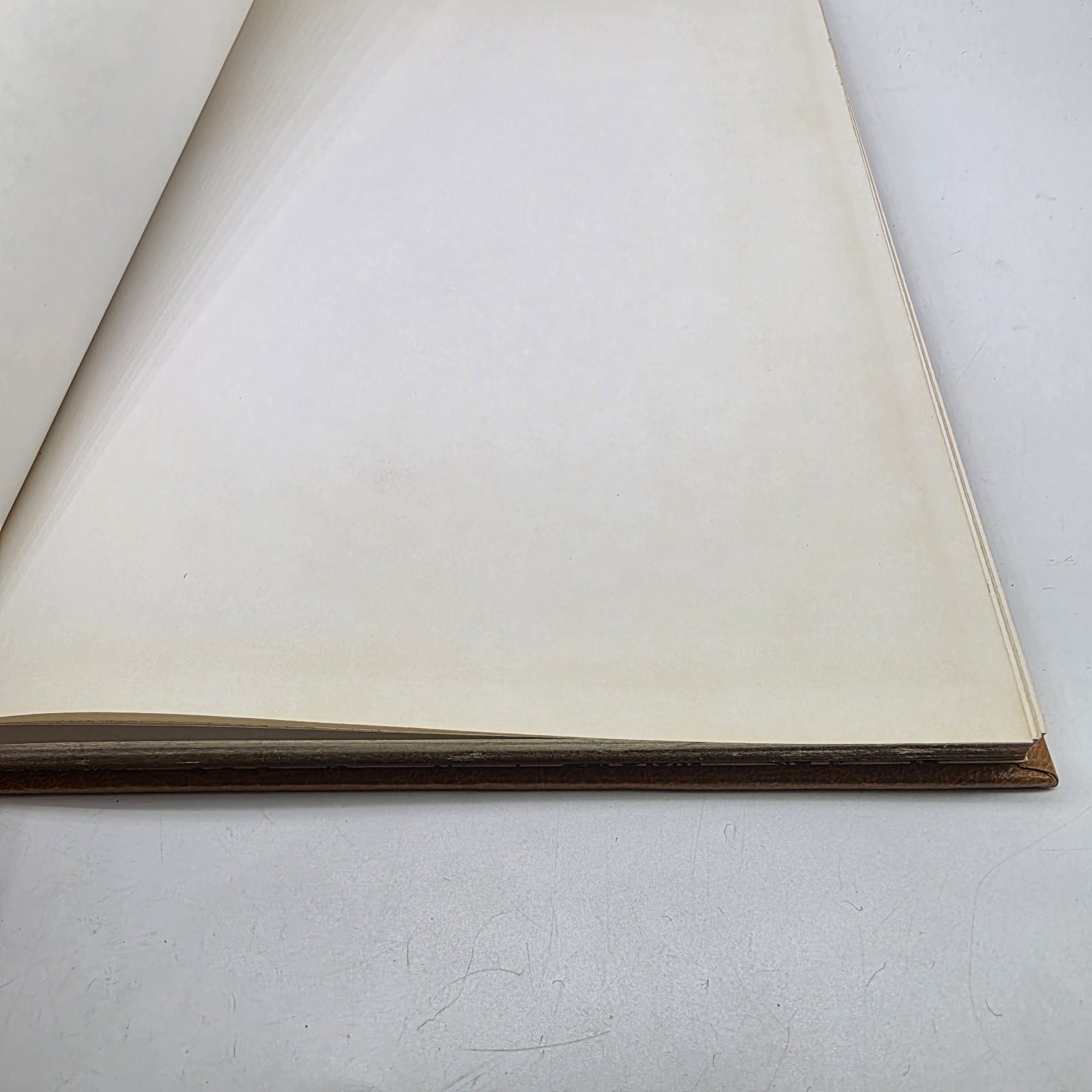 Vtg Anything Book™️ Hardcover Blank Journal Unlined Unruled Sketch Art Deco Gold