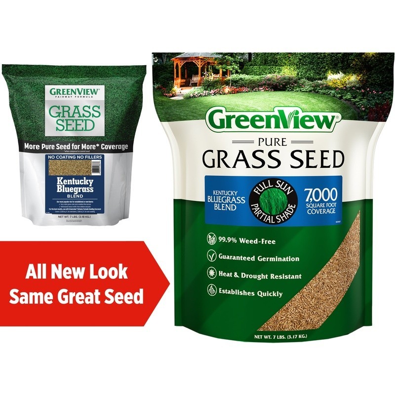 Pure Grass Seed Kentucky Bluegrass Blend 7 Lb 7000SqFt 14-28 Days Germinate