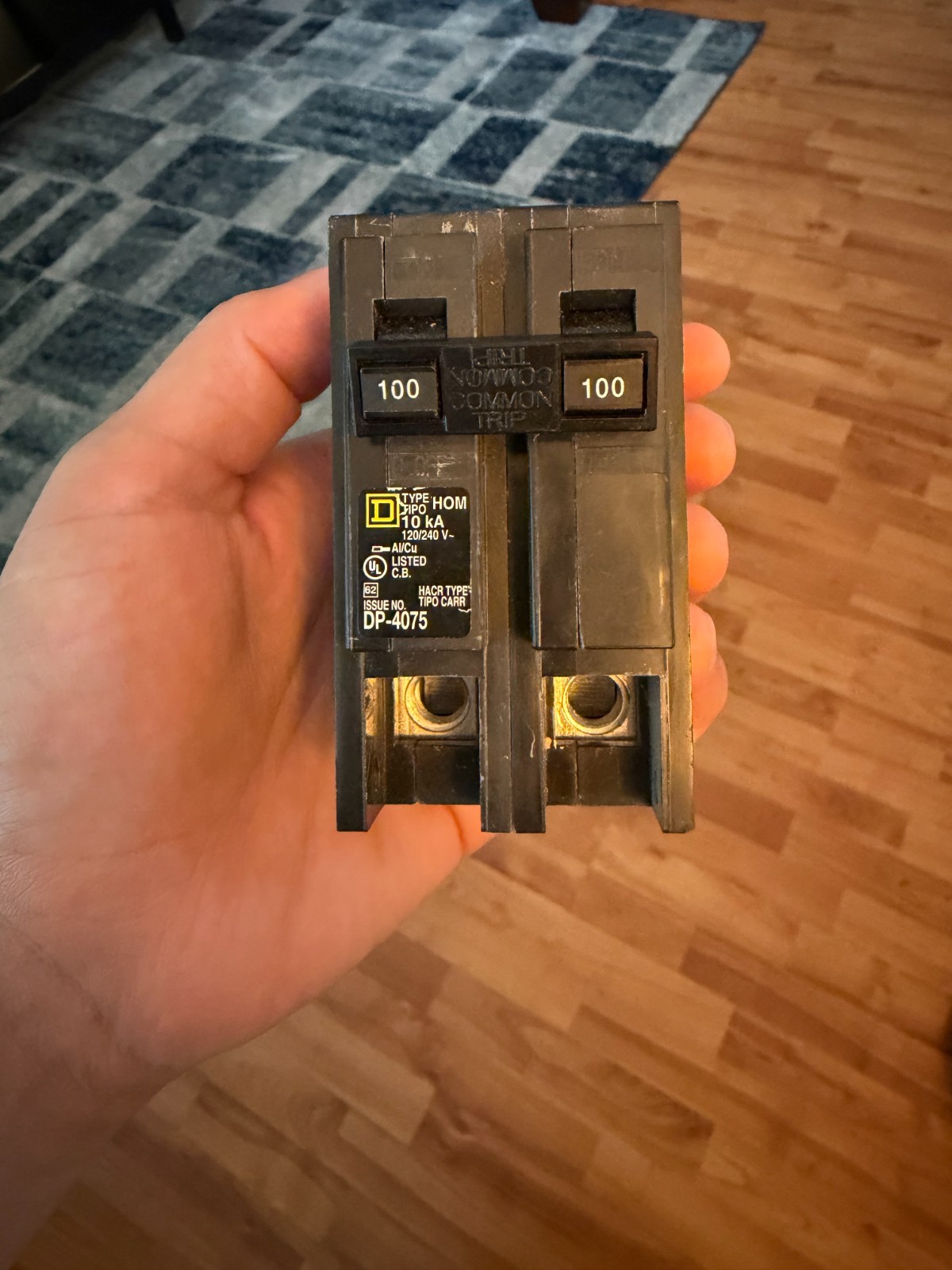 Square D Homeline HOM2100 100-Amp 2-Pole Circuit Breaker