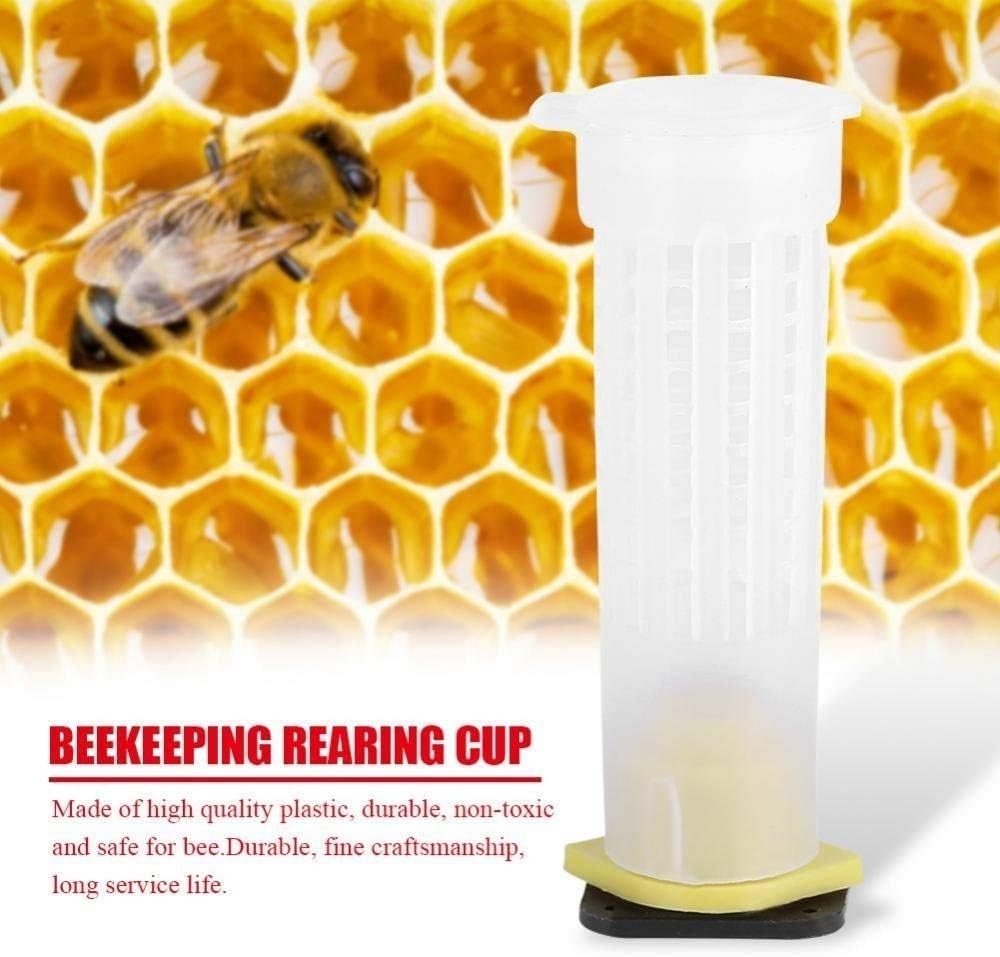 Durable Plastic Queen Bee Roller Cage Kit – 20 Rearing Cups for Beekeepers