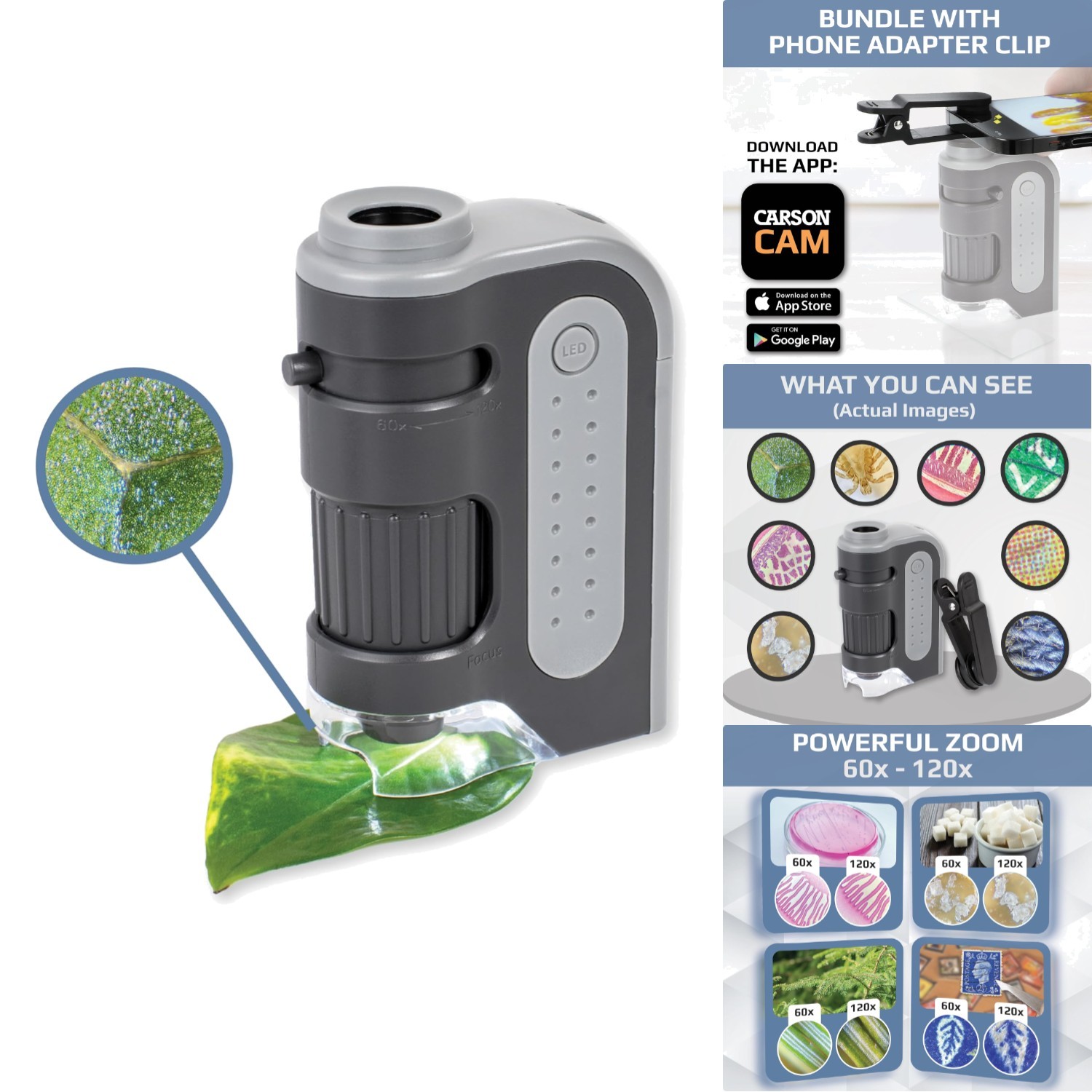 60x-120x LED Pocket Microscope Portable Handheld Mini Student Science Lab STEM
