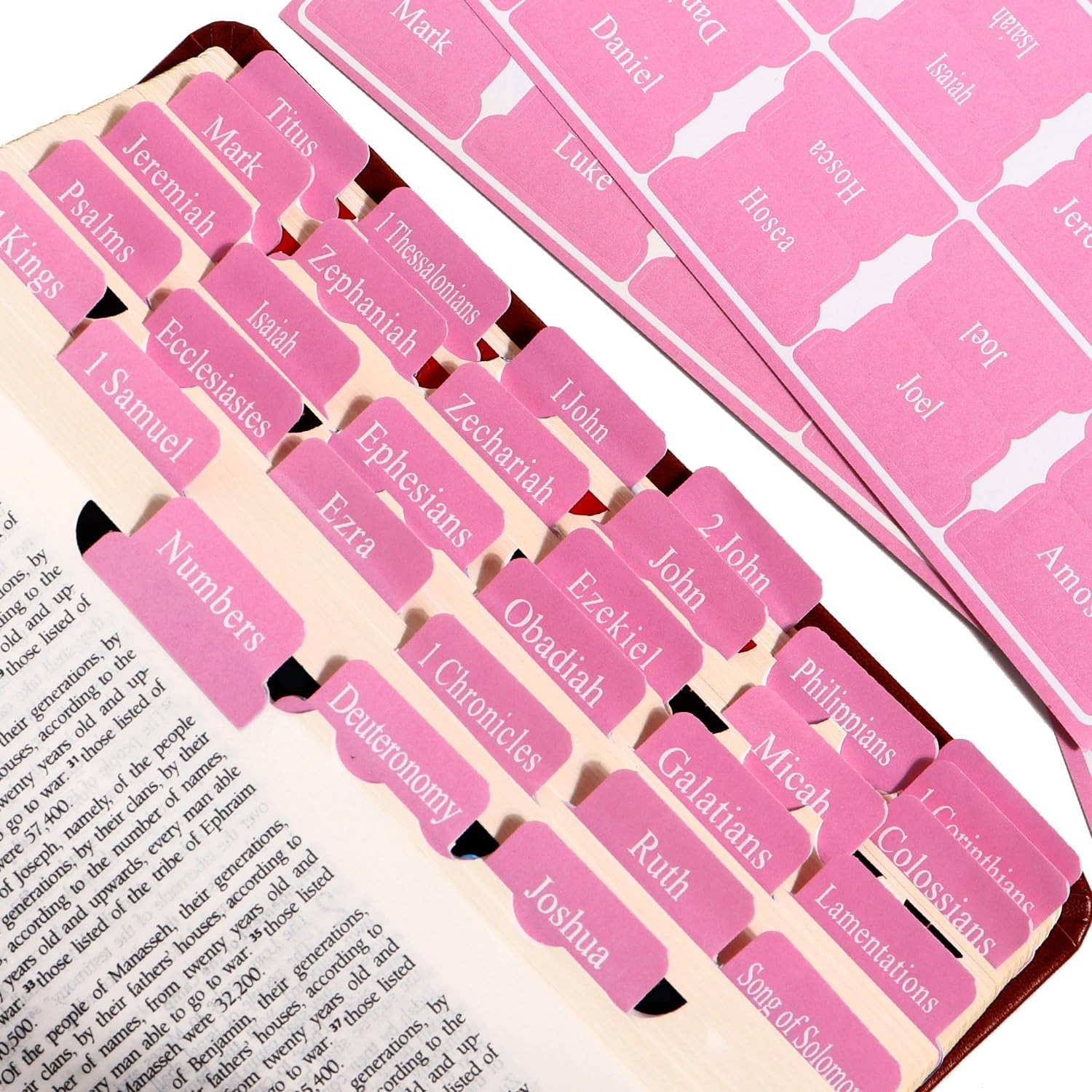 Pink Bible Tabs for Women’s Bible Study – Cute Pink Index Tabs for Bible Chapter