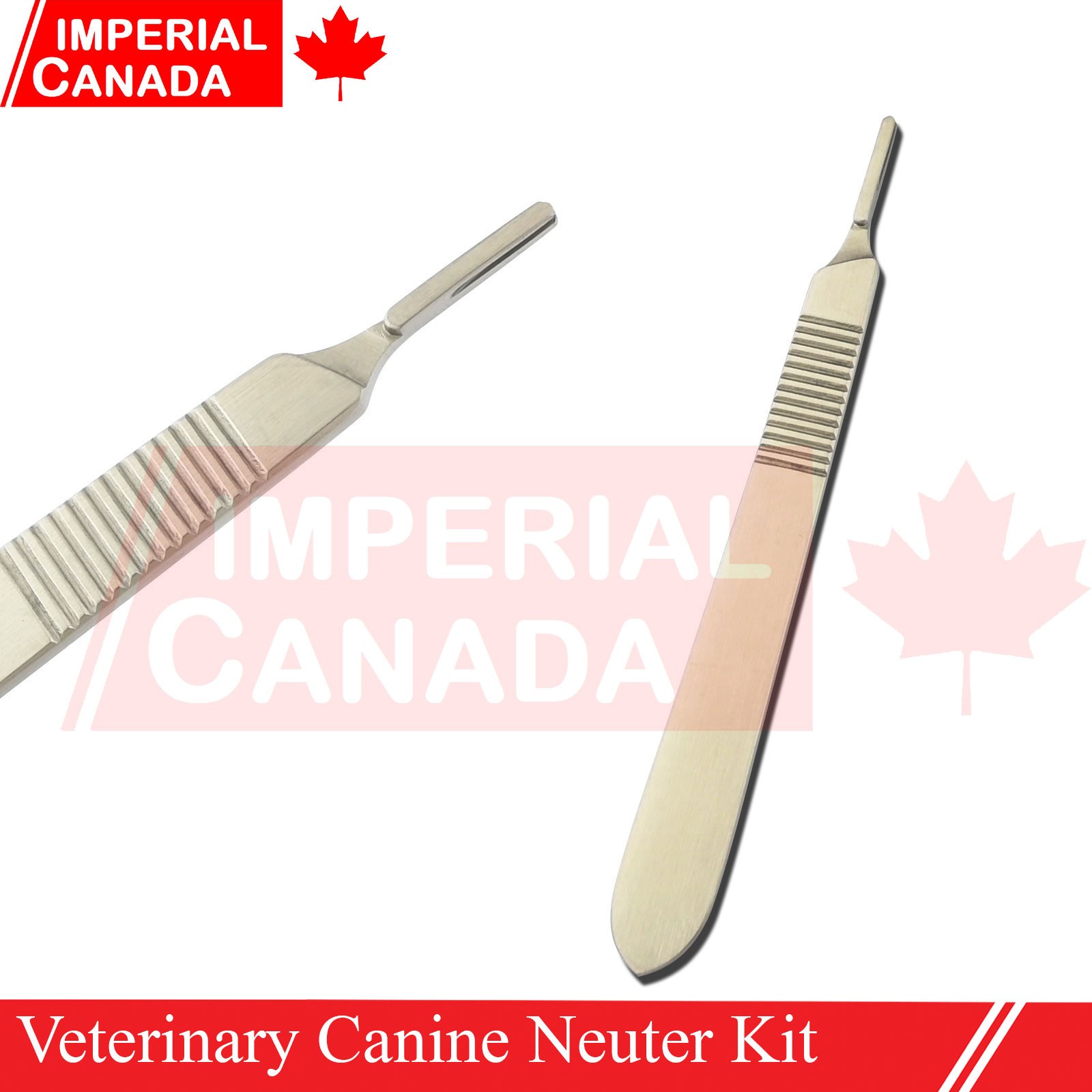 Feline Spay Pack Kit Contain Basic Surgery Instruments Set Surgical Econ DS-2240
