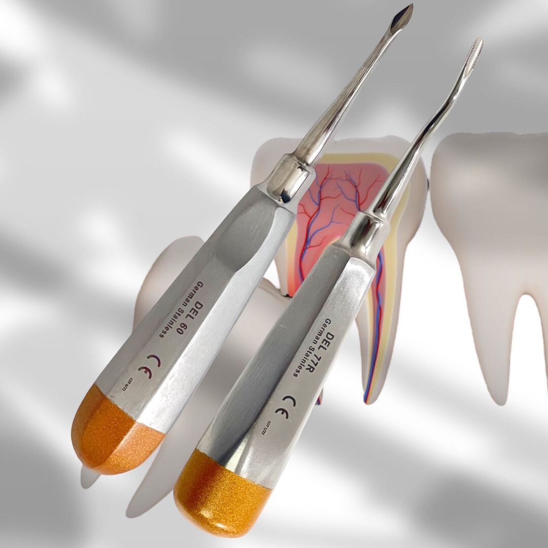 Dental Elevator Root Tip Pick #60 STR + Elevator #77R Tooth Extraction – ArTLaB