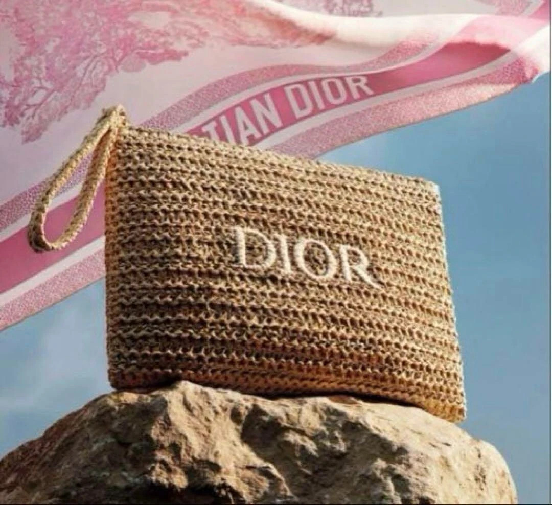 2025 Christian Dior novelty pouch Authentic NEW GIFT