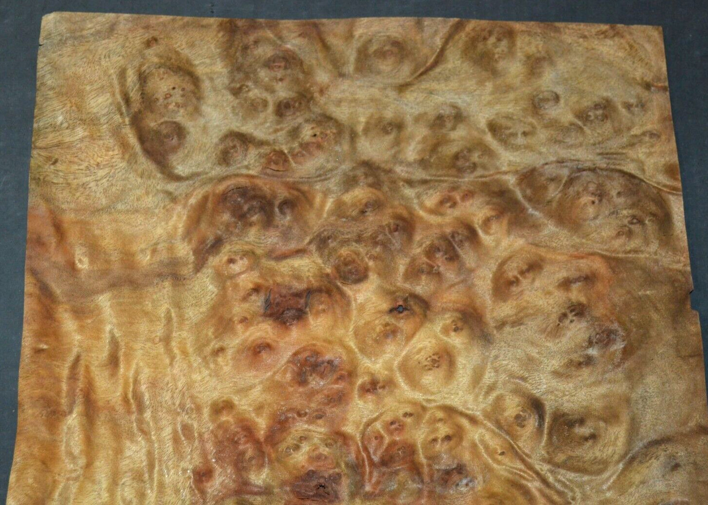 Camphor Burl Raw Wood Veneer Sheet 11.5 x 14.5 inches 1/42nd thick 4672-84