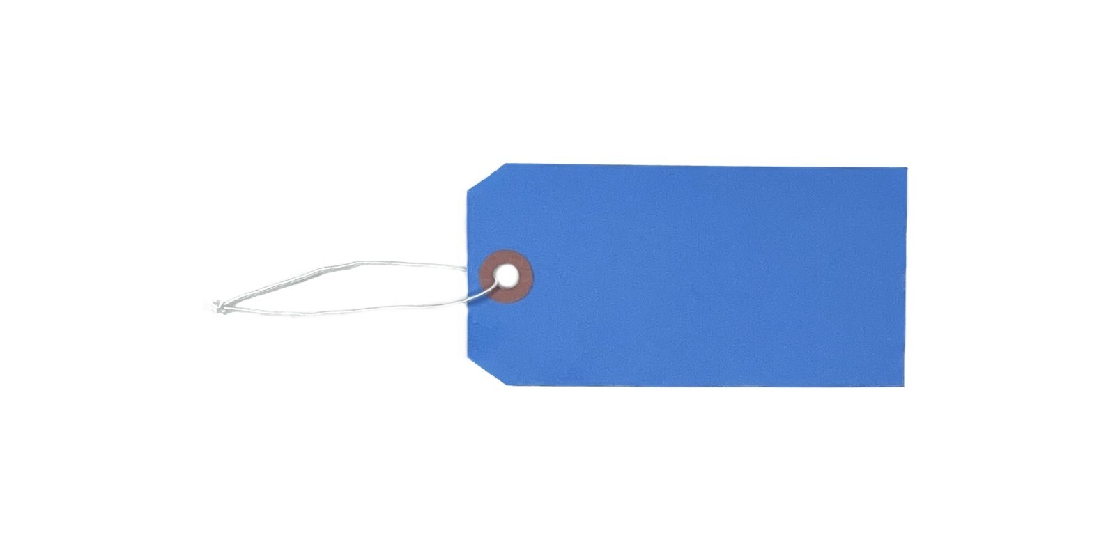 100 – 4 3/4″ x 2 3/8″ Blue Inventory Tags Strung with ELASTIC Stretchable String