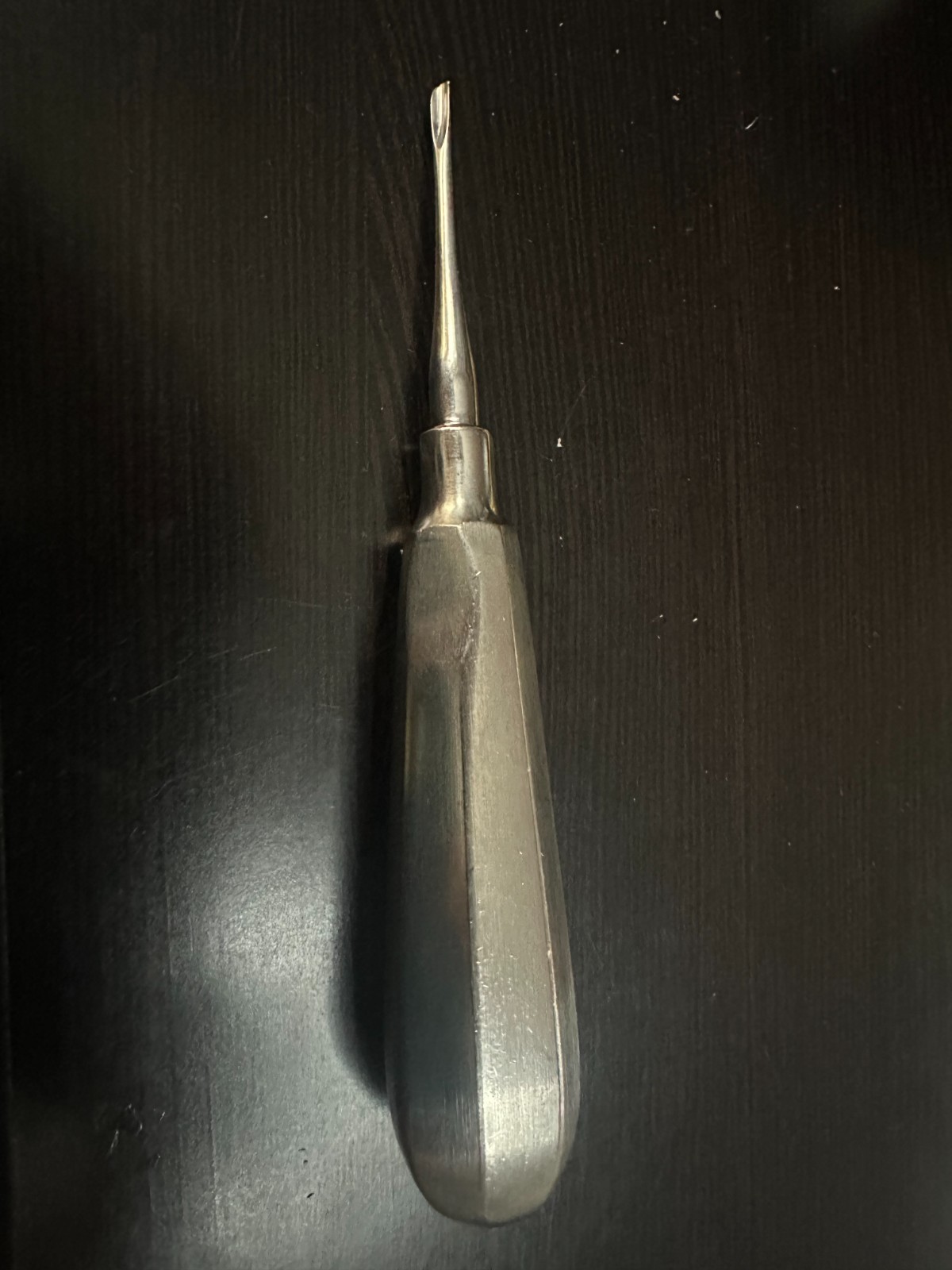 QUALA Dental Elevator, 301, Stainless Steel Instrument