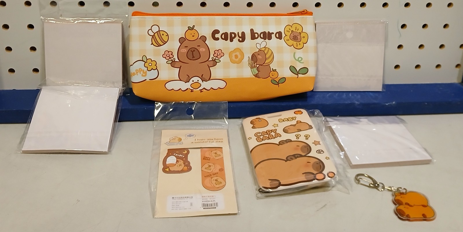 CAPYBARA Lot Lanyard BOOKMARK Pencil Case KEY CHAIN Sticky Notes CUTE Kids ADULT