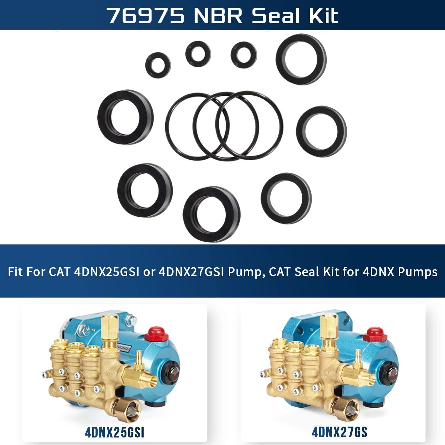 76975 Seal Kit 12Pcs For Cat Pump 4DNX Pumps 4DNX25GSI 4DNX27GSI CAT Seal Kit