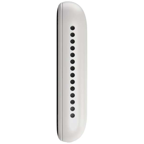 POCKETALK S White Translator 2 Years of Communication PTSGW From Japan New