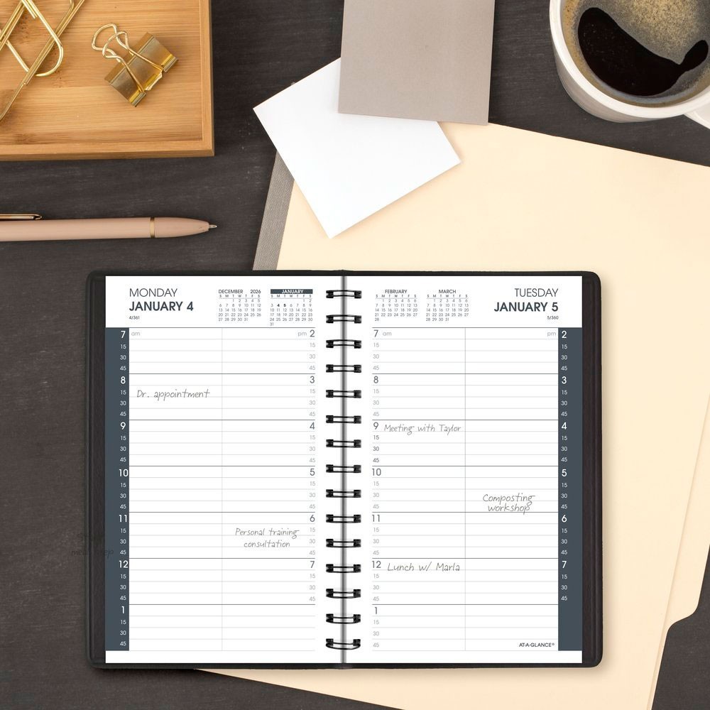 2026 At-A-Glance 70-800-05 Daily Appointment Book, 5 x 8″