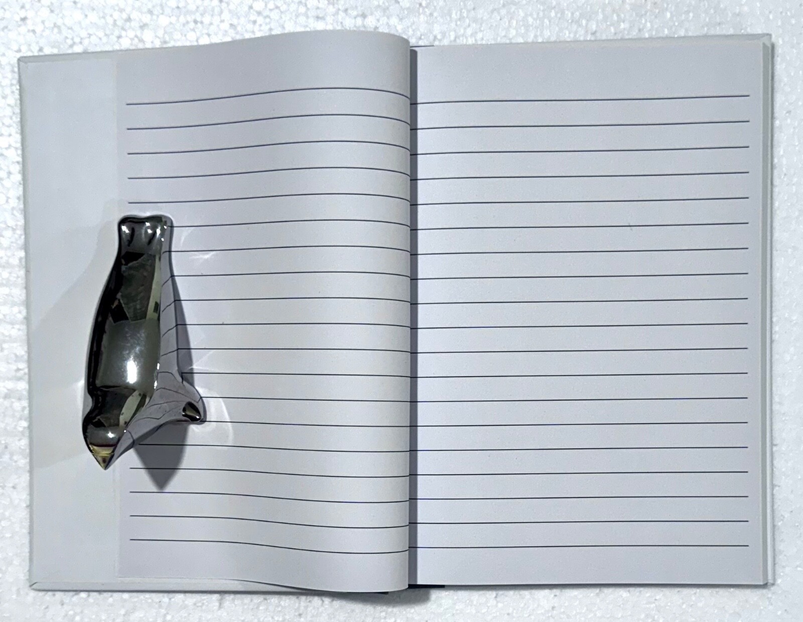 NEW: 2 Journals / Notebooks / Diaries each with 80 lined sheets