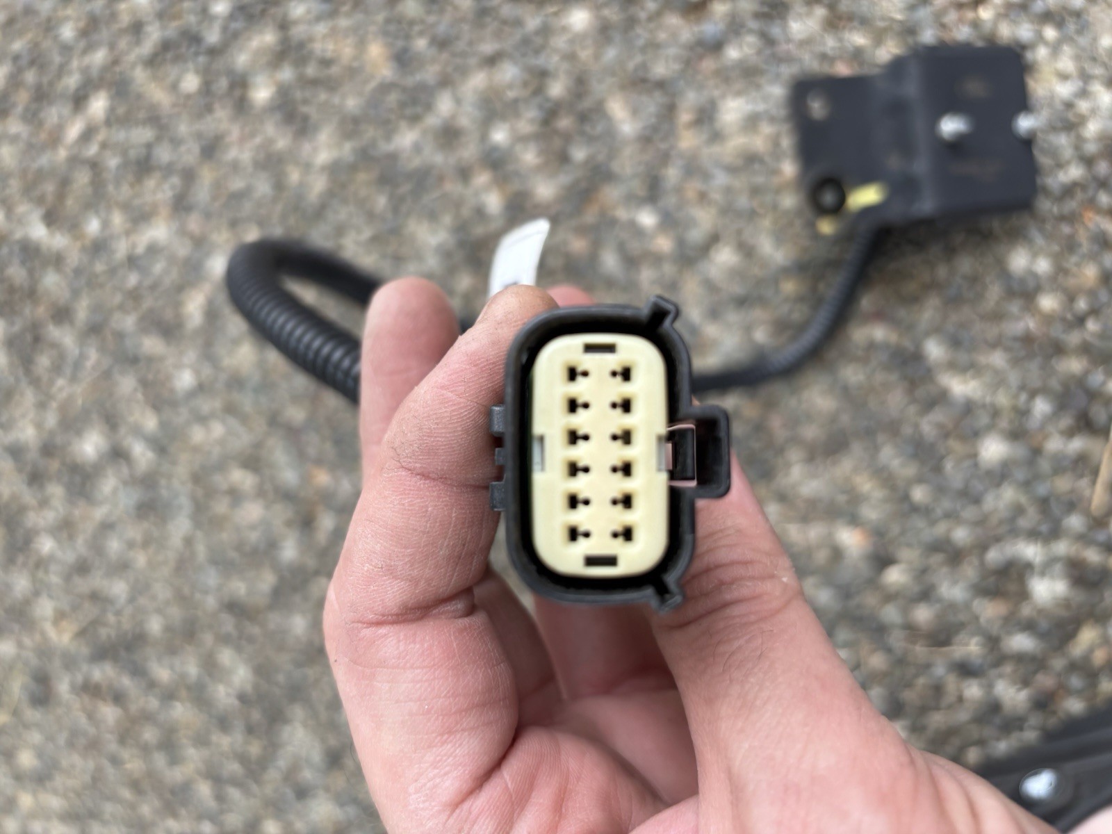 Whelen Police Interceptor Wigwag PTW Modules Ford FoMoCo