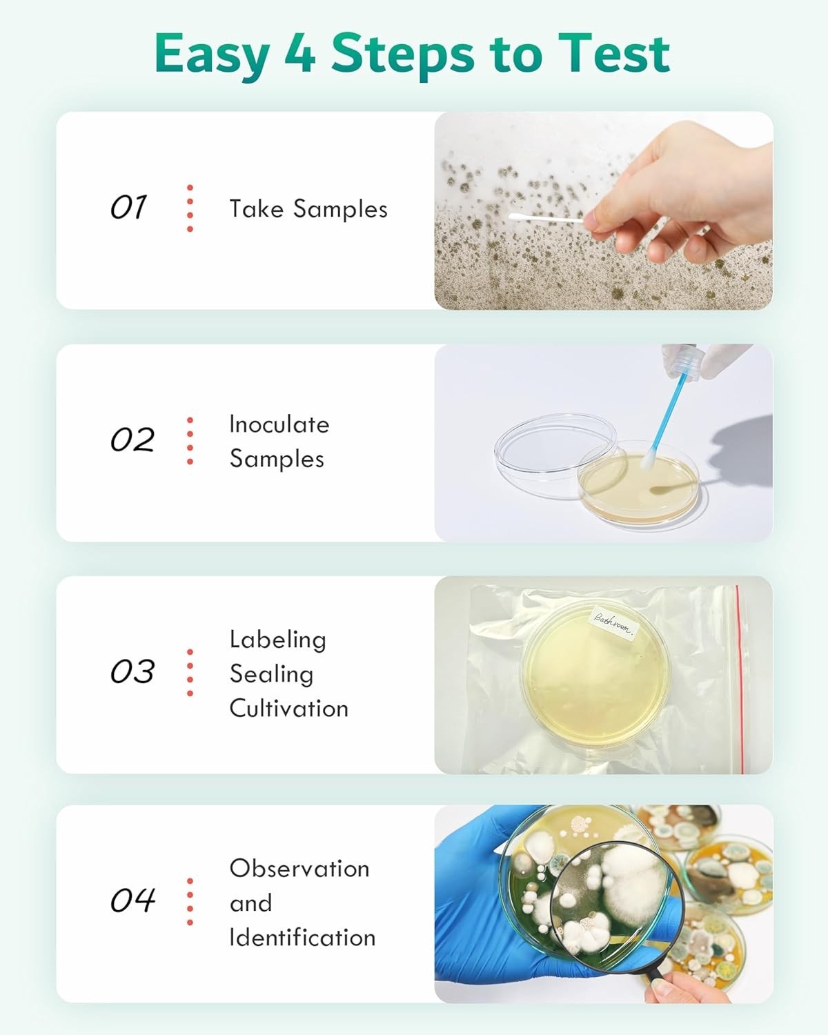 Mold Test Kit for Home Air: DIY Mold Detector with 5 Simple Detection Tests -…