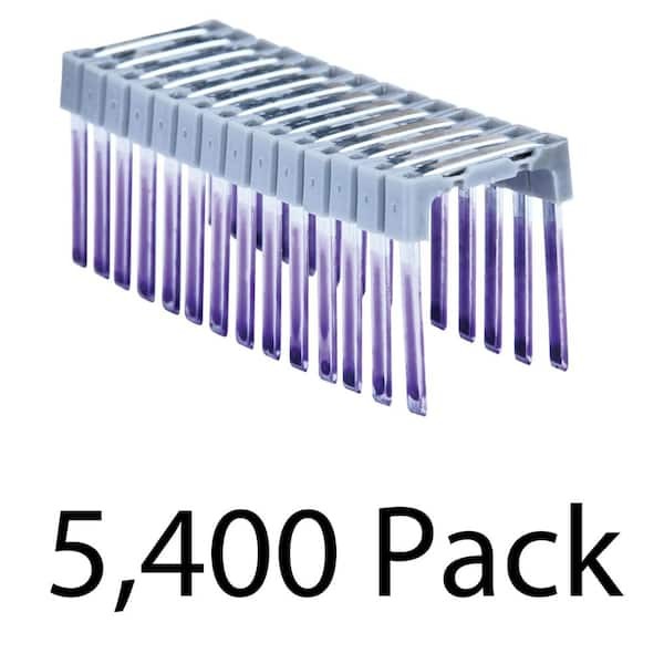 1 In. Insulated Electrical Staples 10 Boxes (540 per Box)