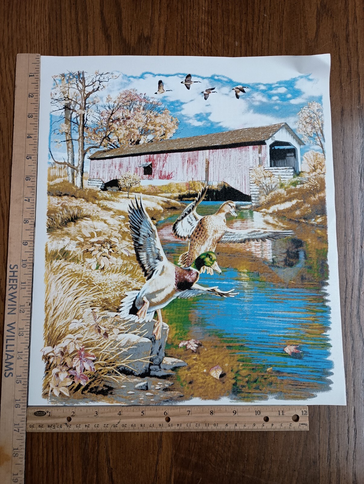 Authentic Vintage 90’s Covered Bridge Ducks Country Heat Transfer Iron On NOS